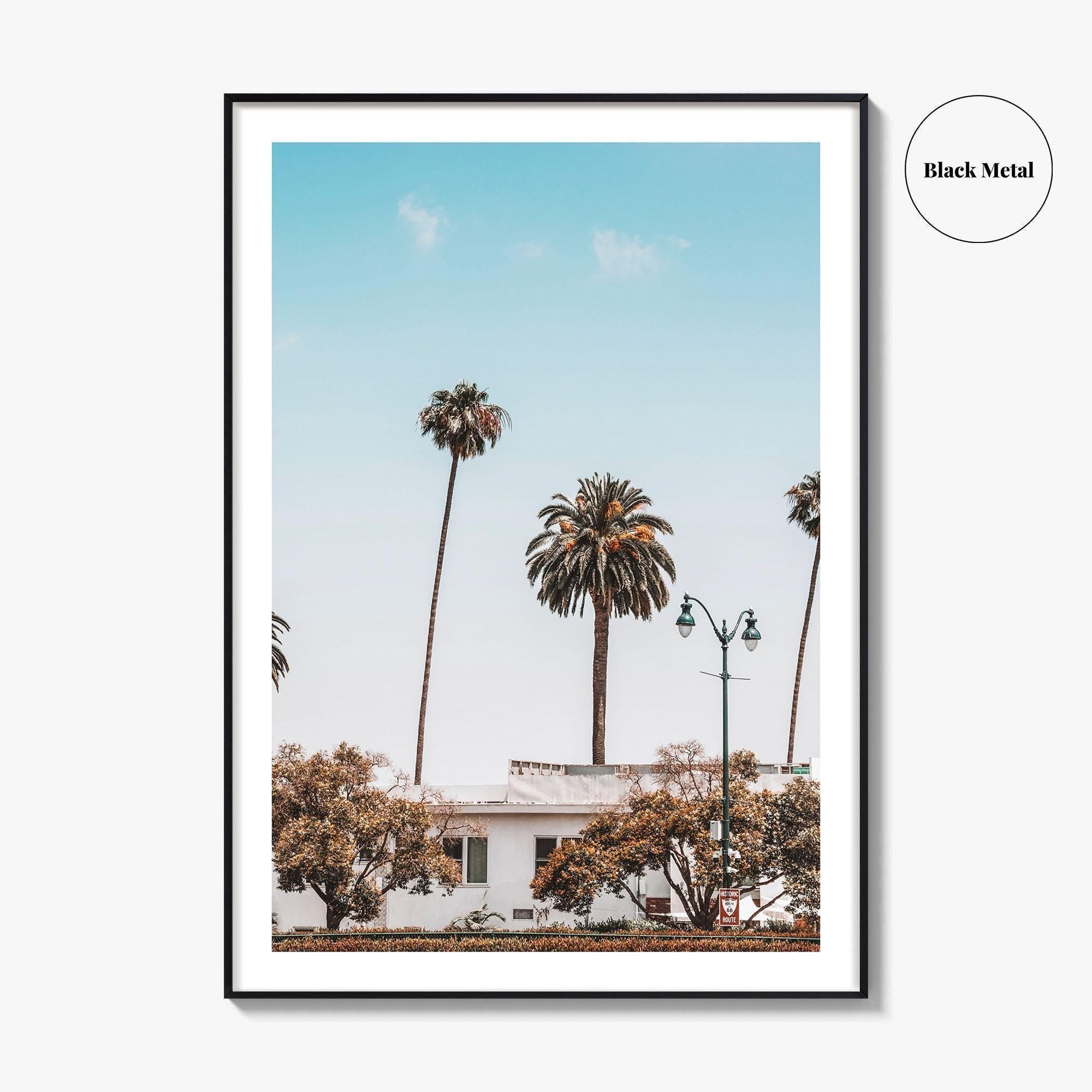 Los Angeles Blue Fine Art Photo Print, California Wall Poster, LA Palm Trees, USA