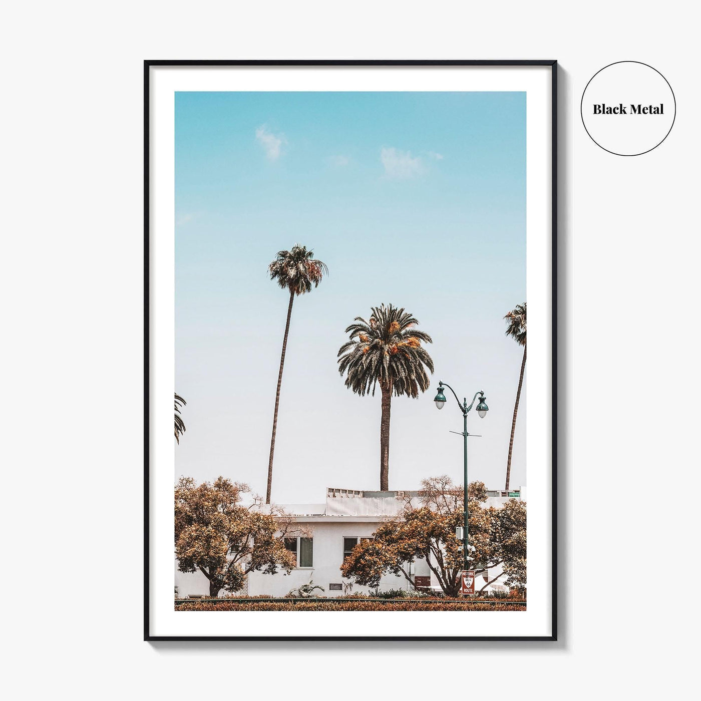Los Angeles Blue Fine Art Photo Print, California Wall Poster, LA Palm Trees, USA