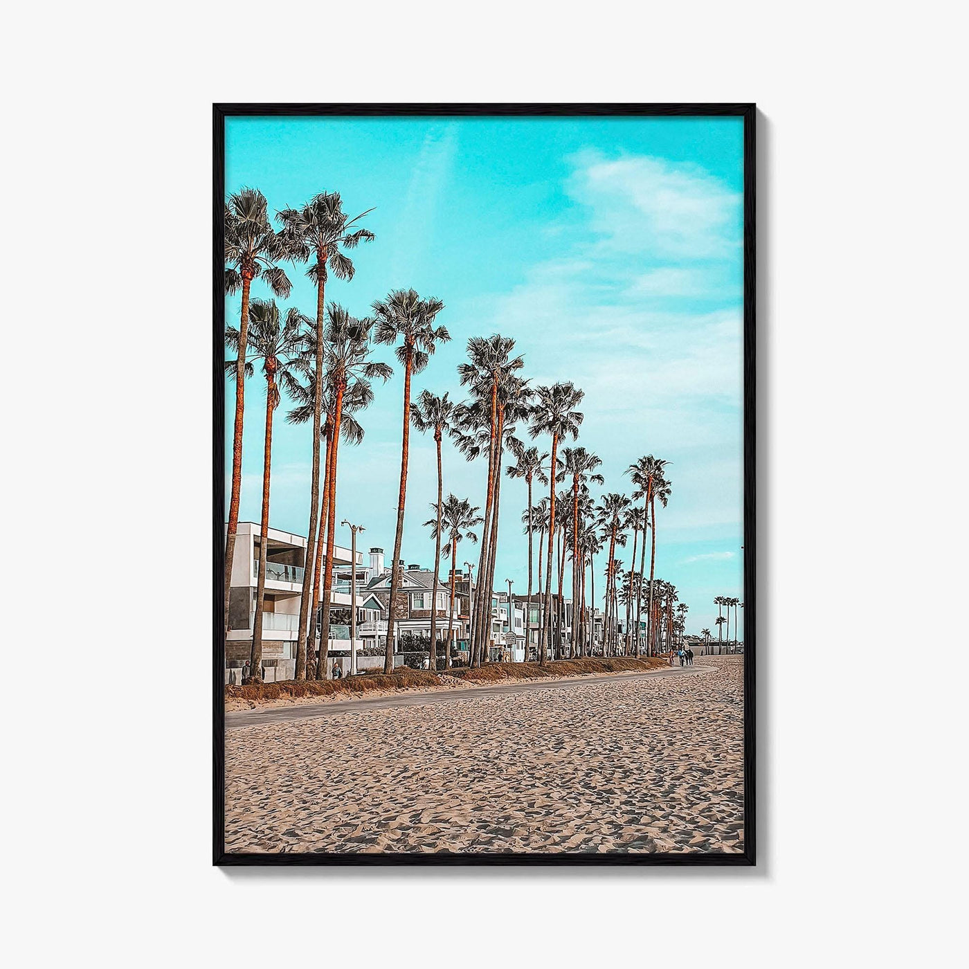 Venice Beach Fine Art Photo Print, Los Angeles California Wall Decor, Palm Tree