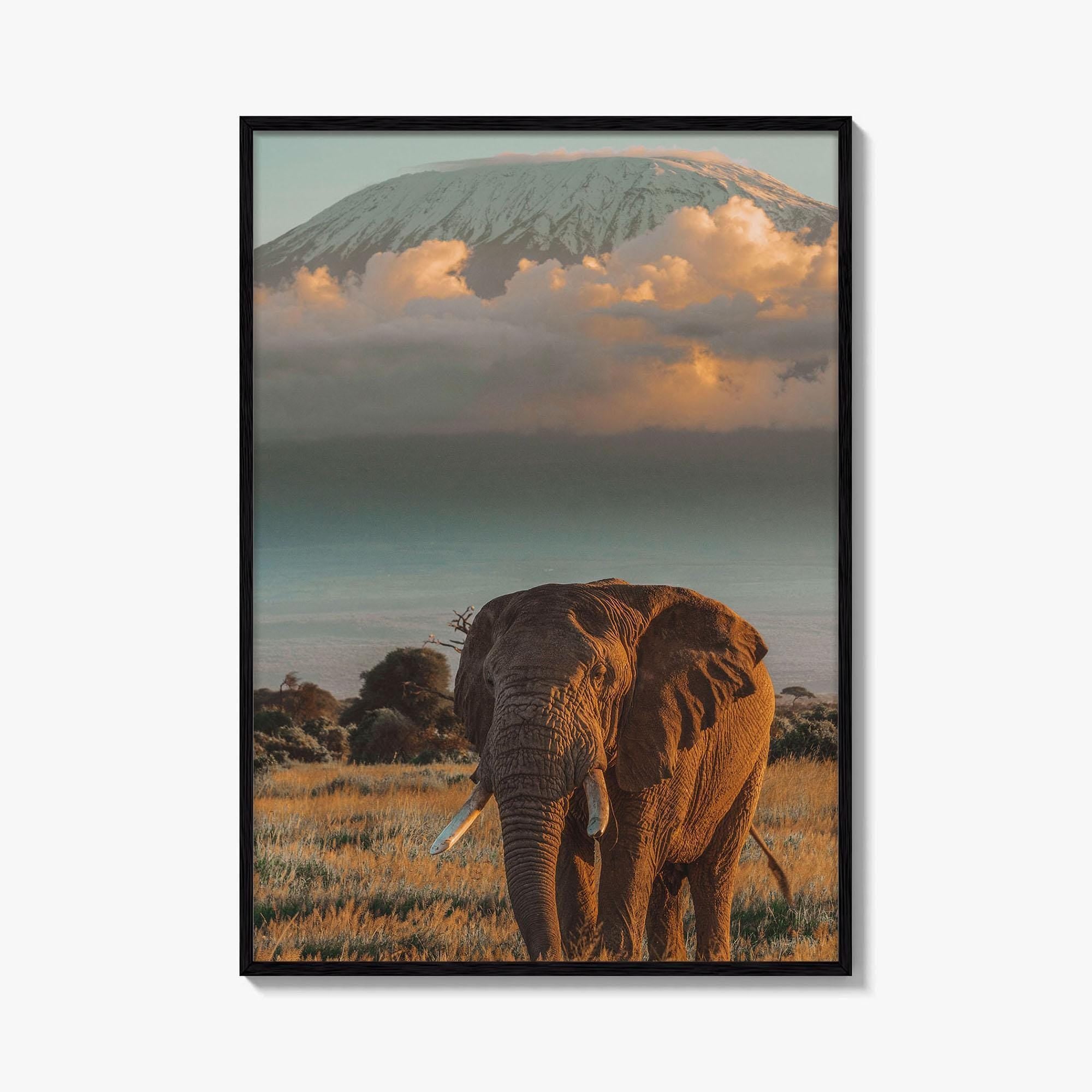 Mount Kilimanjaro Fine Art Photo Print, Elephant, Tanzania, Africa, Wildlife Poster