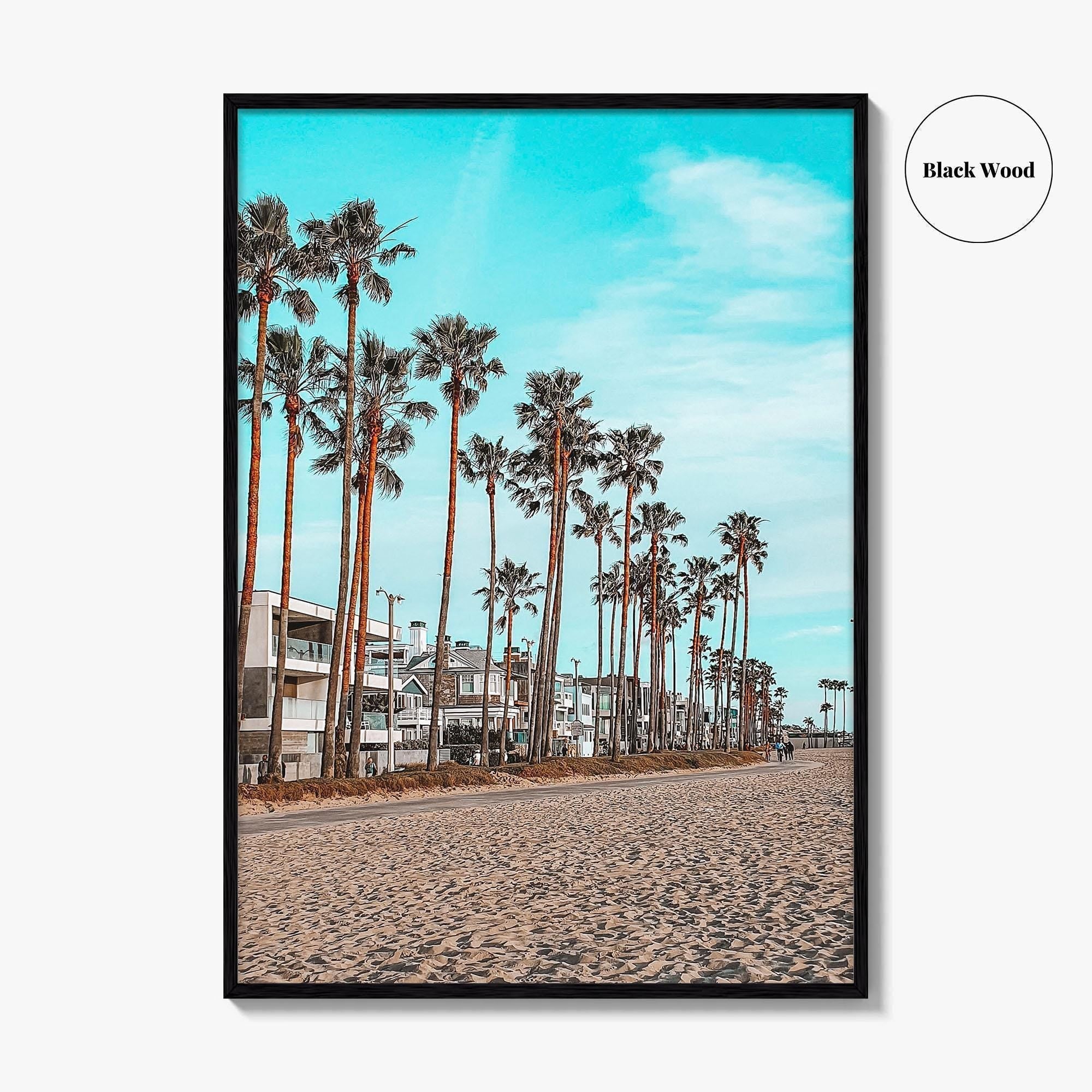Venice Beach Fine Art Photo Print, Los Angeles California Wall Decor, Palm Tree