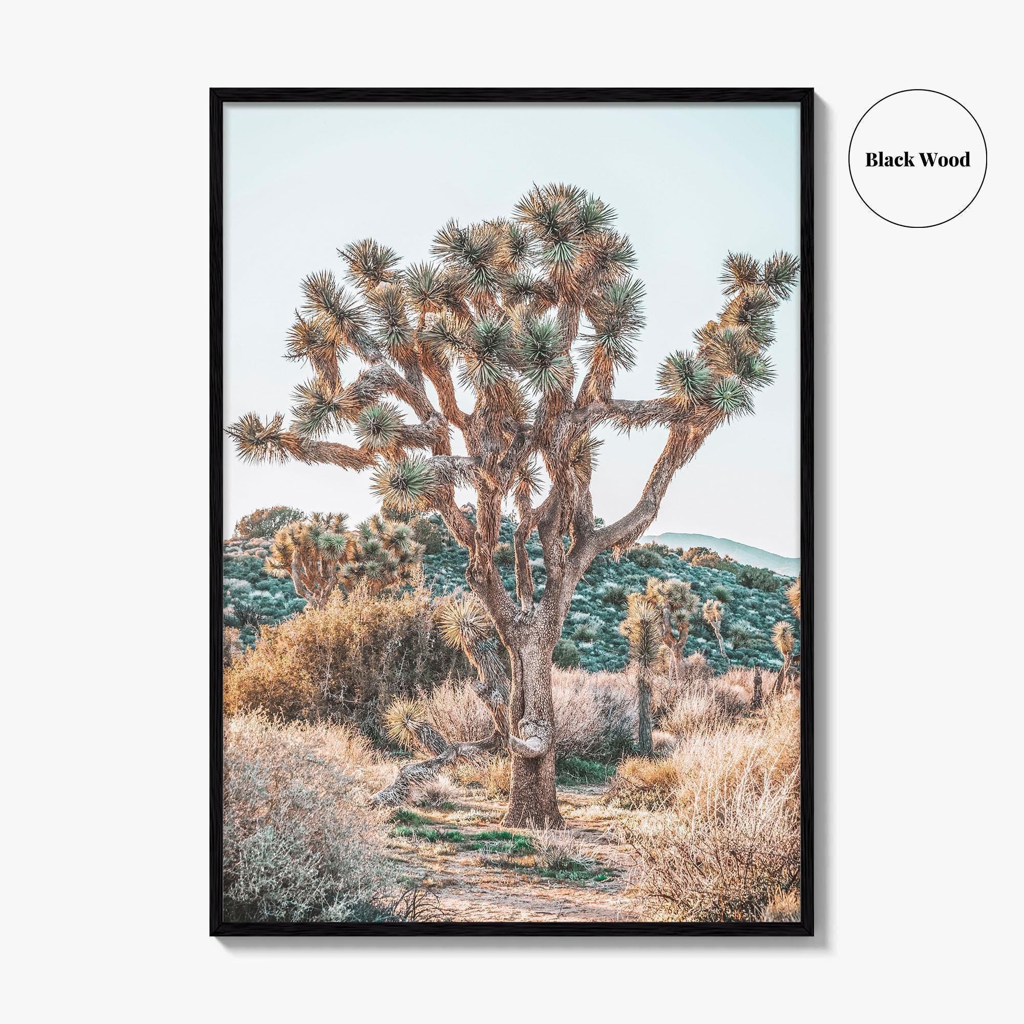 Joshua Tree National Park Fine Art Photo Print, California Desert Poster, Palm Springs