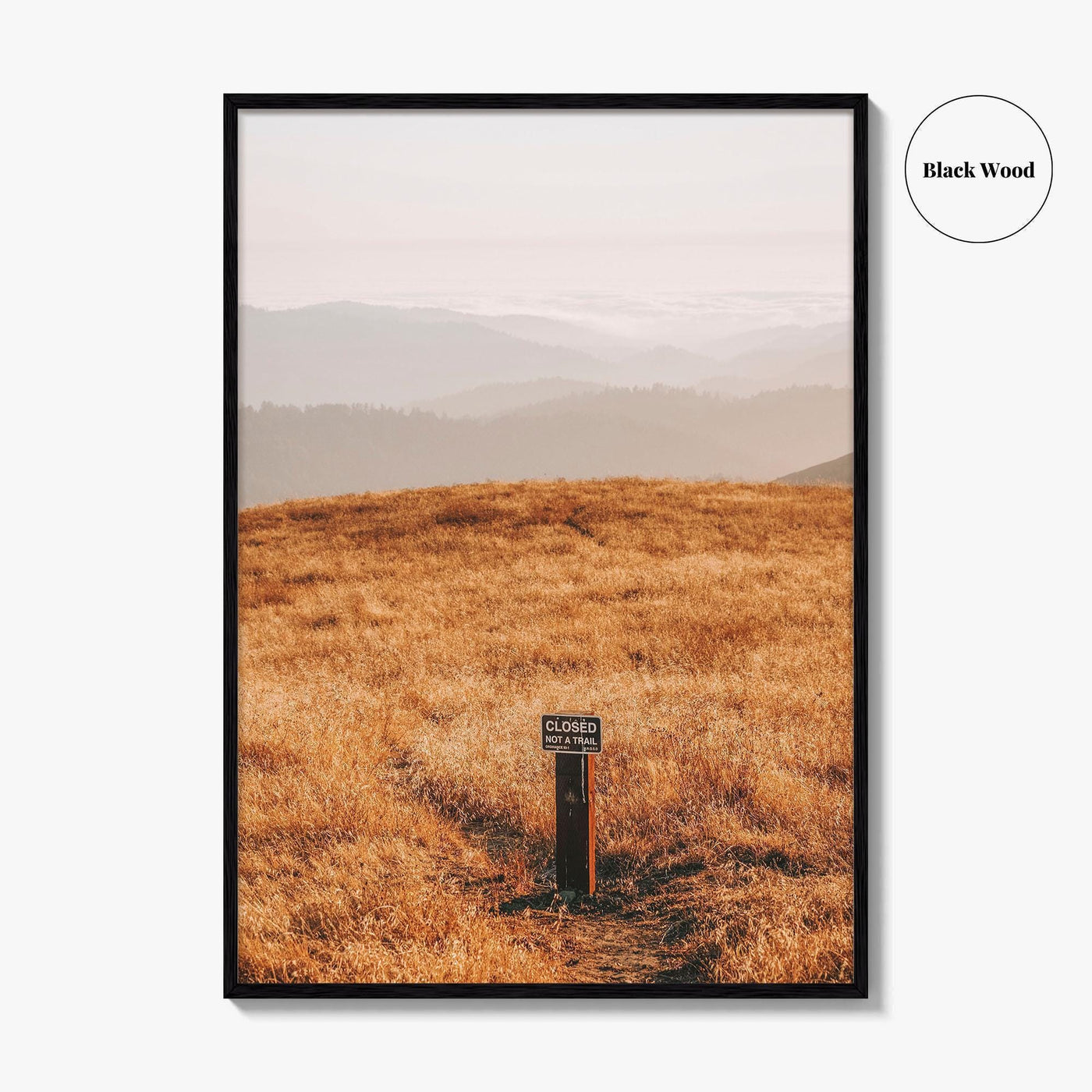 Borel Hill Fine Art Photo Print, Santa Cruz Mountains California USA, Mountain View, Poster