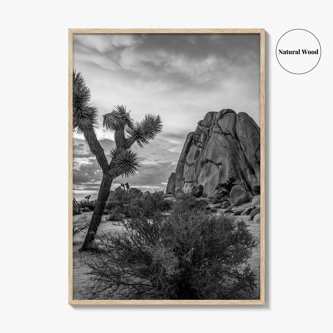 Joshua Tree Black and White Fine Art Photo Print, California Desert Poster