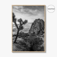 Joshua Tree Black and White Fine Art Photo Print, California Desert Poster