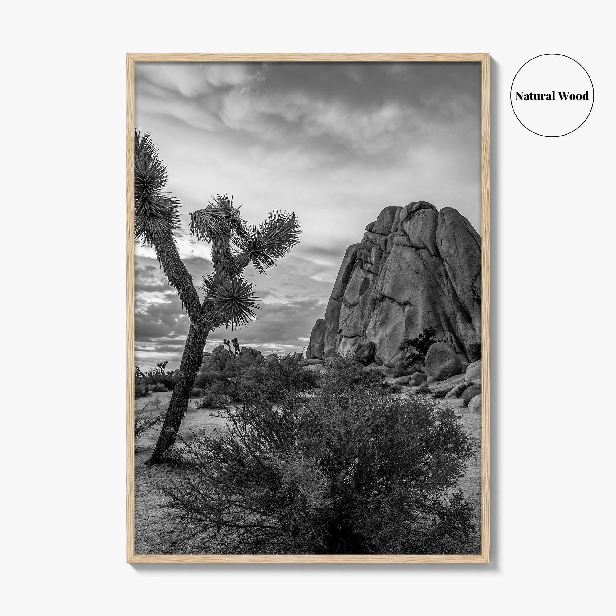 Joshua Tree Black and White Fine Art Photo Print, California Desert Poster