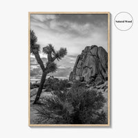 Joshua Tree Black and White Fine Art Photo Print, California Desert Poster