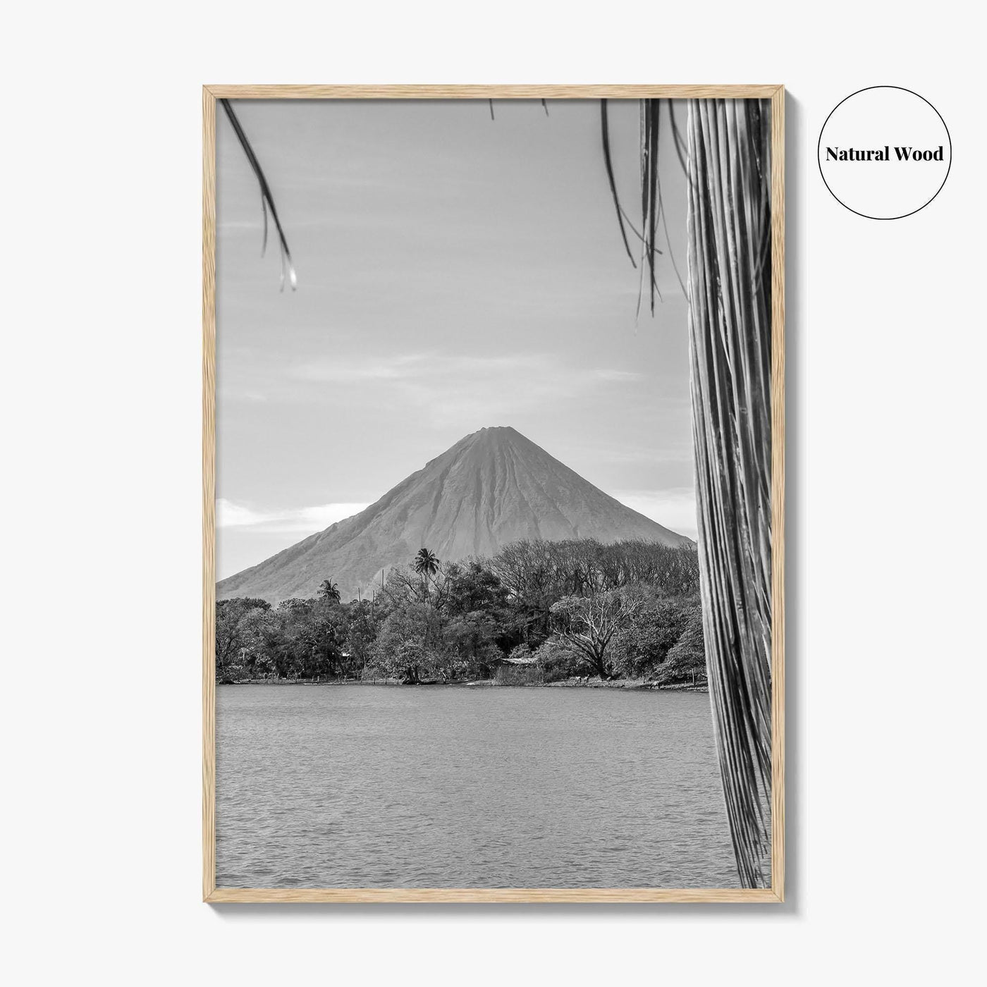 Ometepe Island Black and White Fine Art Photo Print, Concepcion Volcano, Nicaragua Poster