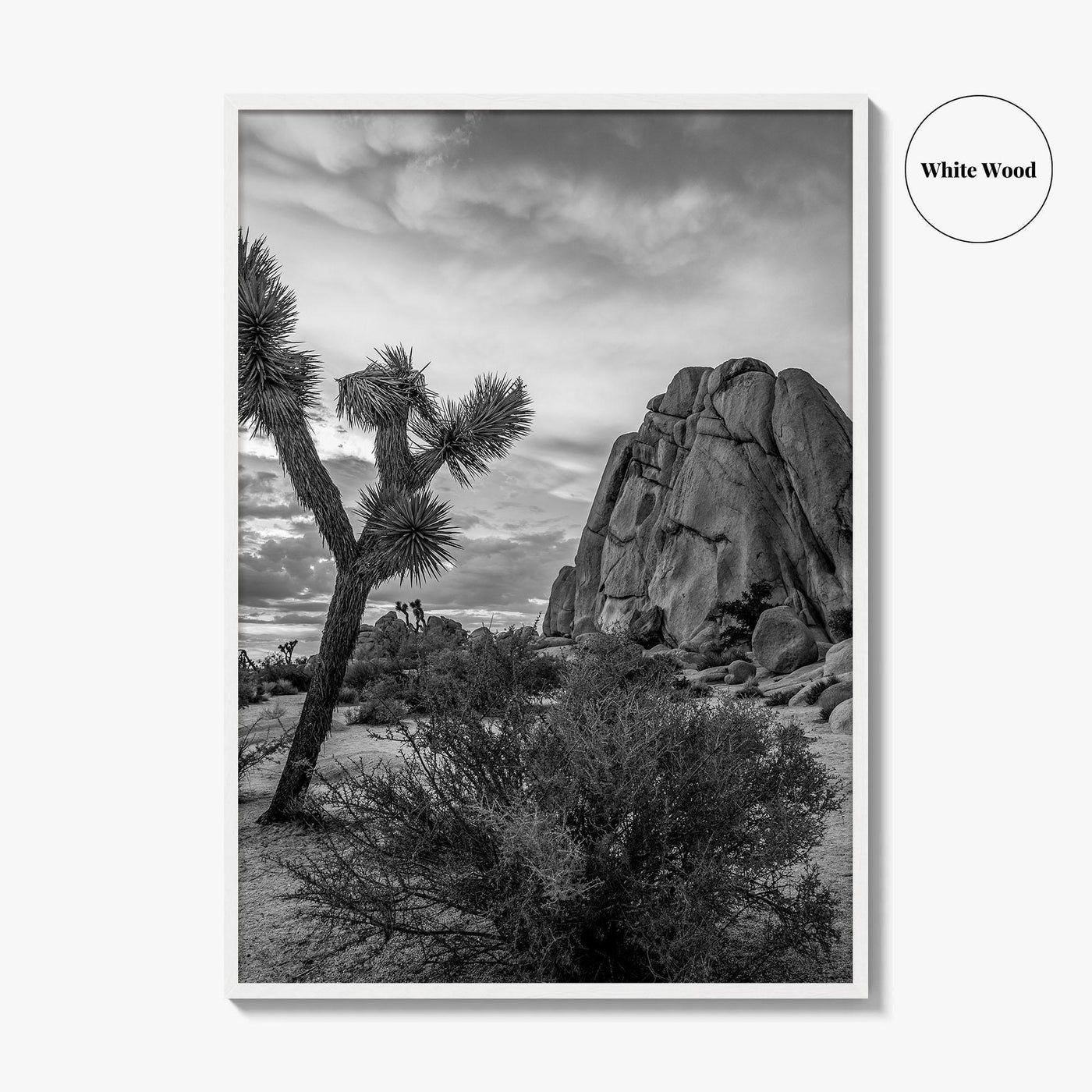 Joshua Tree Black and White Fine Art Photo Print, California Desert Poster