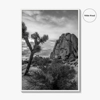 Joshua Tree Black and White Fine Art Photo Print, California Desert Poster