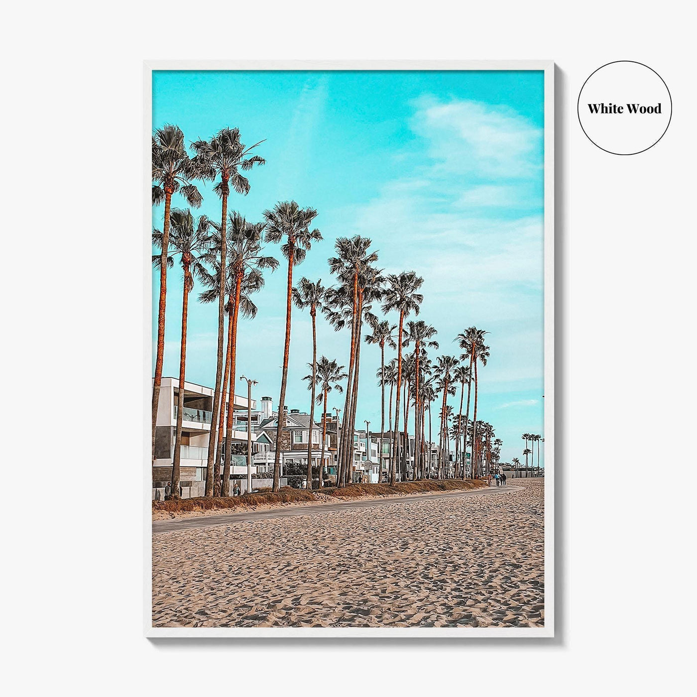 Venice Beach Fine Art Photo Print, Los Angeles California Wall Decor, Palm Tree