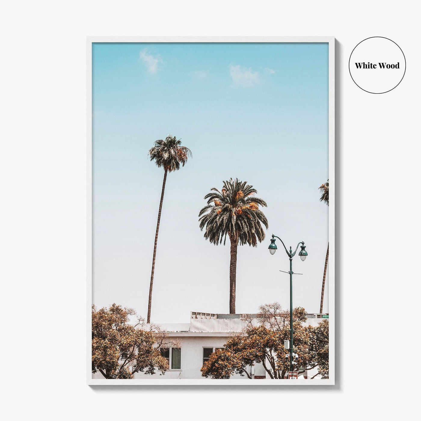 Los Angeles Blue Fine Art Photo Print, California Wall Poster, LA Palm Trees, USA