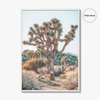 Joshua Tree National Park Fine Art Photo Print, California Desert Poster, Palm Springs