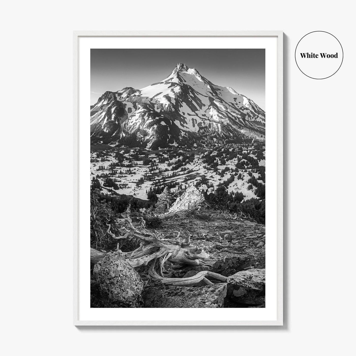Mount Jefferson Black and White Fine Art Photo Print, Oregon Poster, USA Wall Decor
