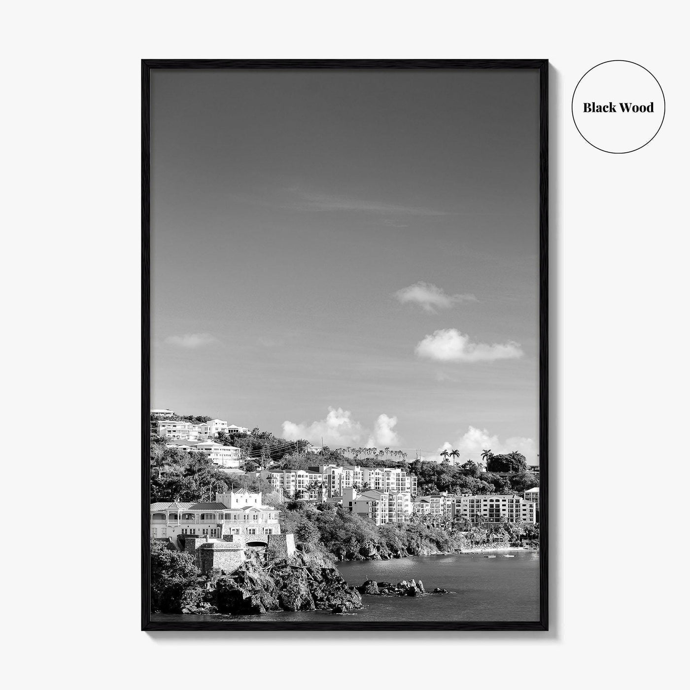St Thomas Black and White Fine Art Photo Print, Harbor, USVI, Caribbean, Wall Decor
