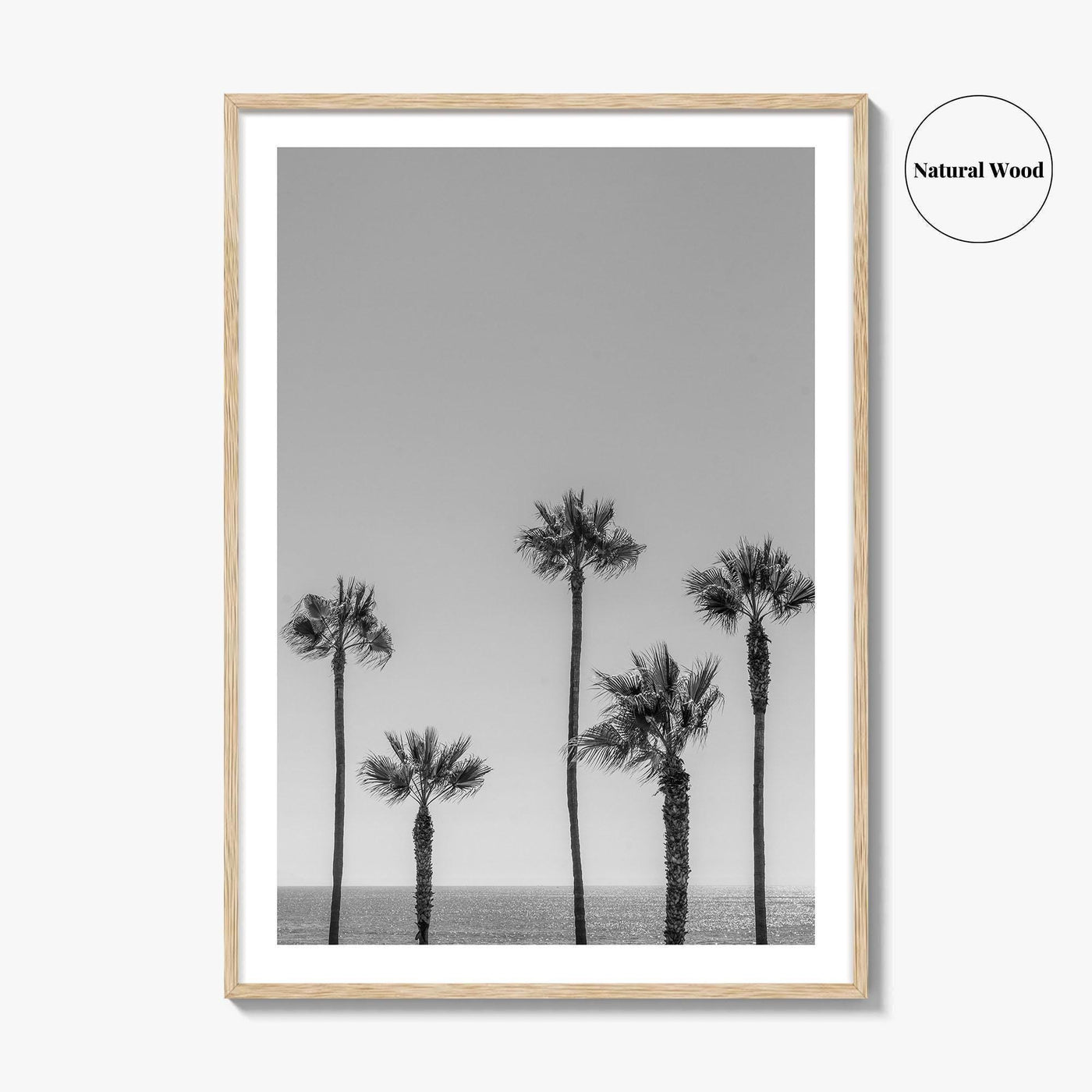 Manhattan Beach Black and White Fine Art Photo Print, Palm Trees LA California Poster