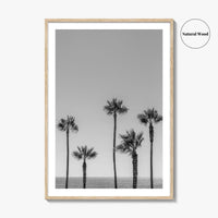 Manhattan Beach Black and White Fine Art Photo Print, Palm Trees LA California Poster