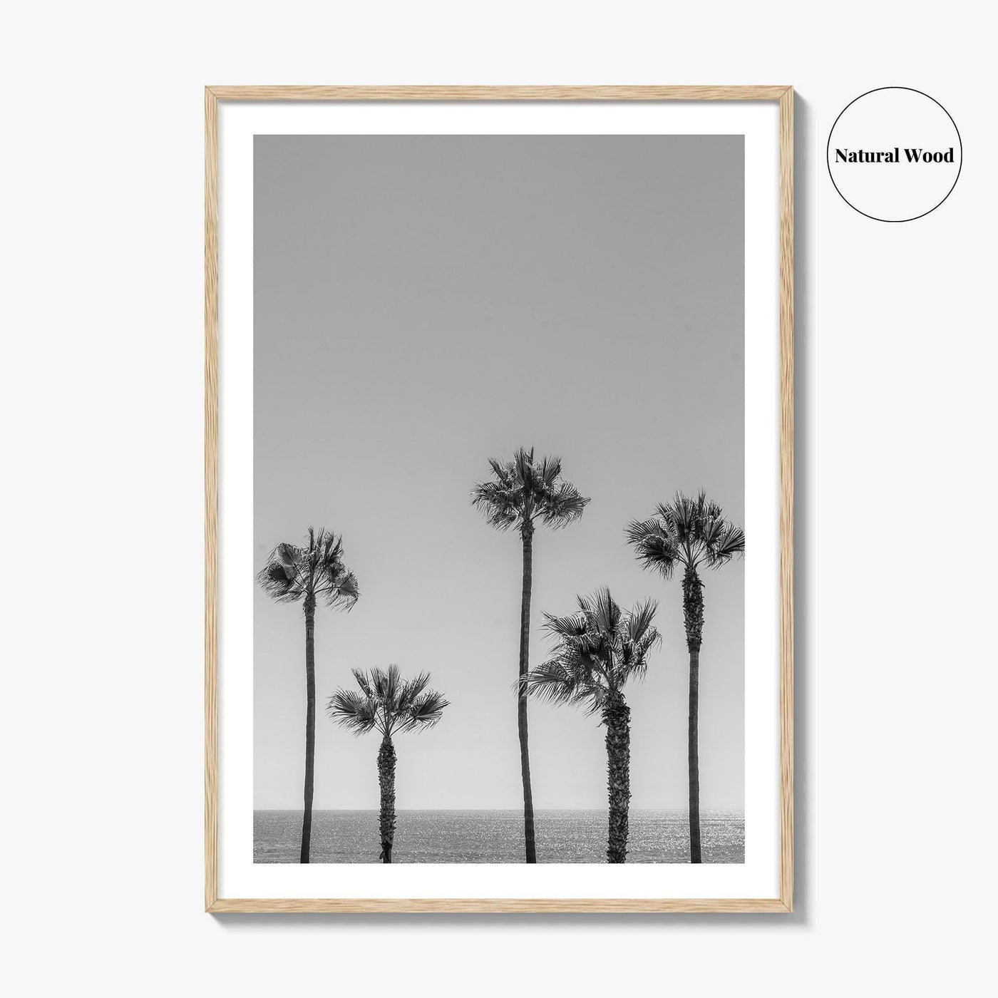 Manhattan Beach Black and White Fine Art Photo Print, Palm Trees LA California Poster