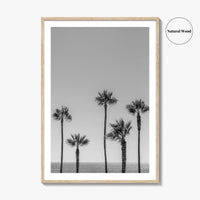 Manhattan Beach Black and White Fine Art Photo Print, Palm Trees LA California Poster