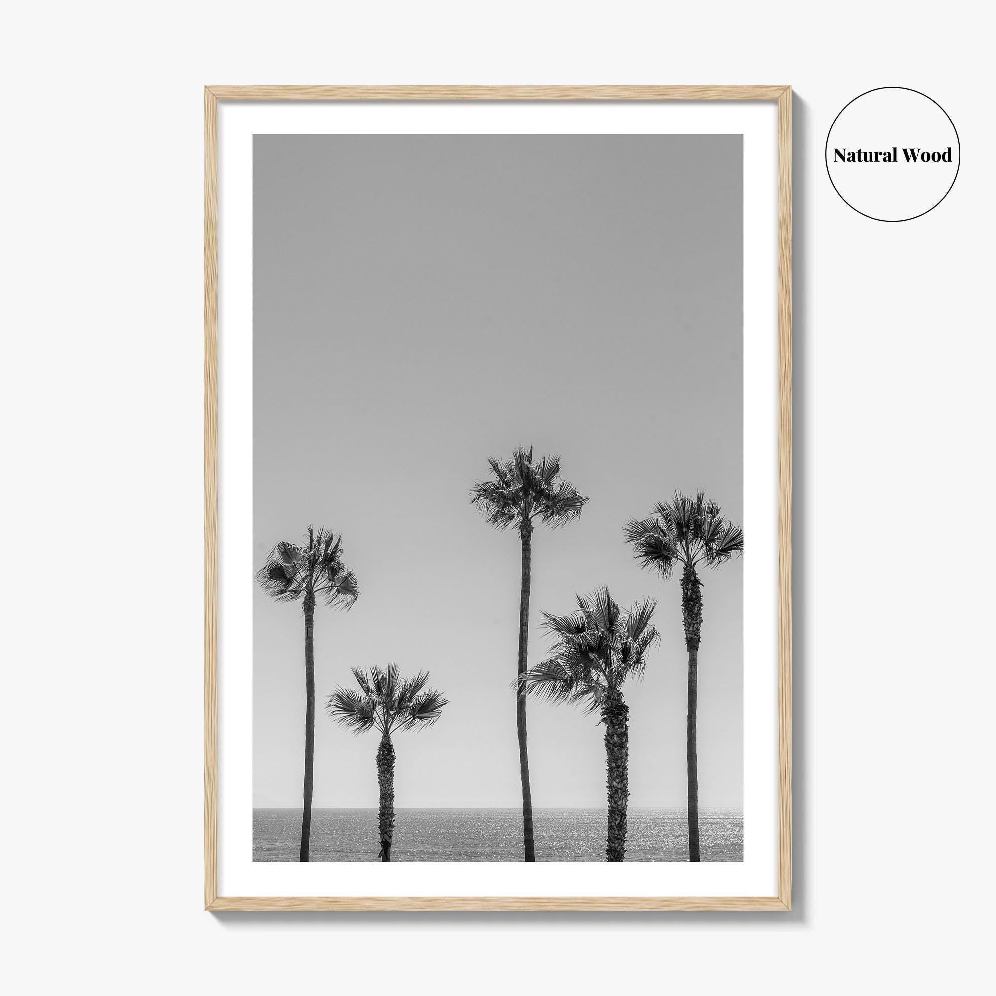 Manhattan Beach Black and White Fine Art Photo Print, Palm Trees LA California Poster