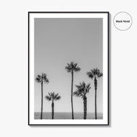 Manhattan Beach Black and White Fine Art Photo Print, Palm Trees LA California Poster