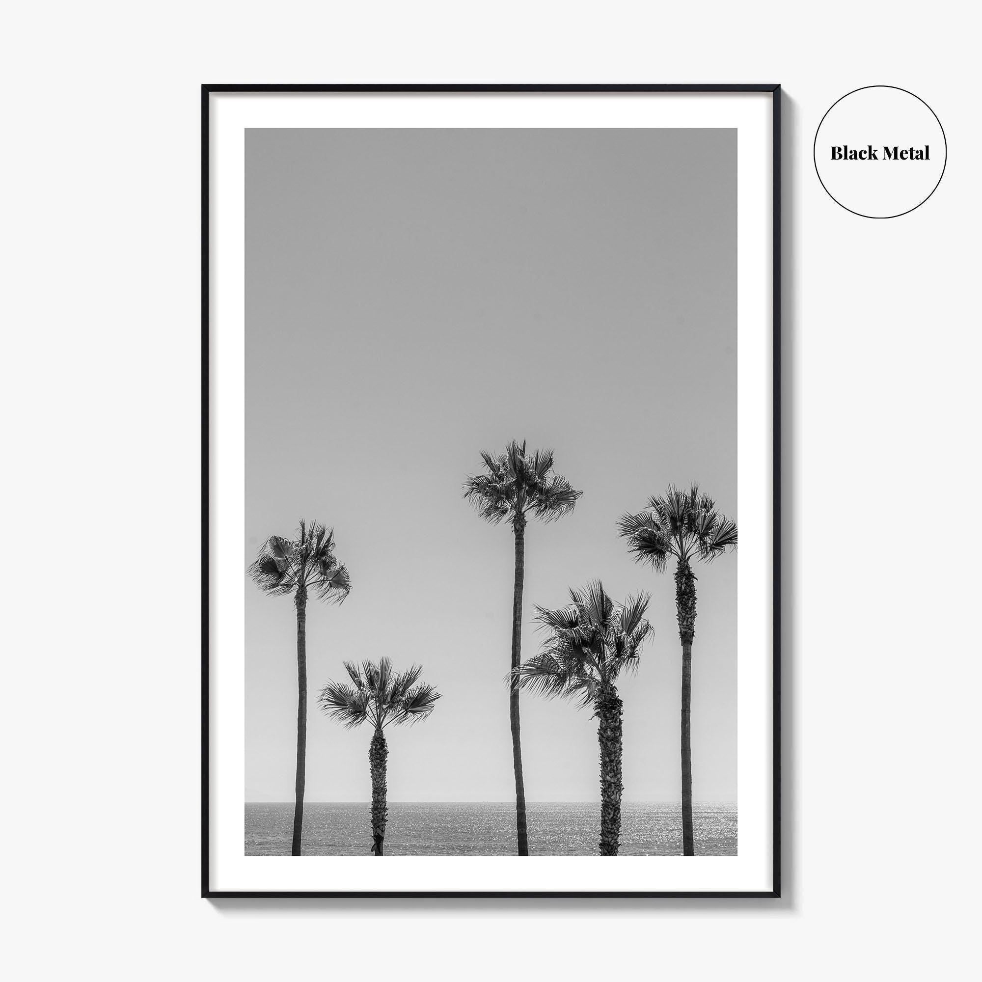 Manhattan Beach Black and White Fine Art Photo Print, Palm Trees LA California Poster