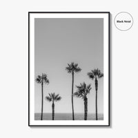 Manhattan Beach Black and White Fine Art Photo Print, Palm Trees LA California Poster