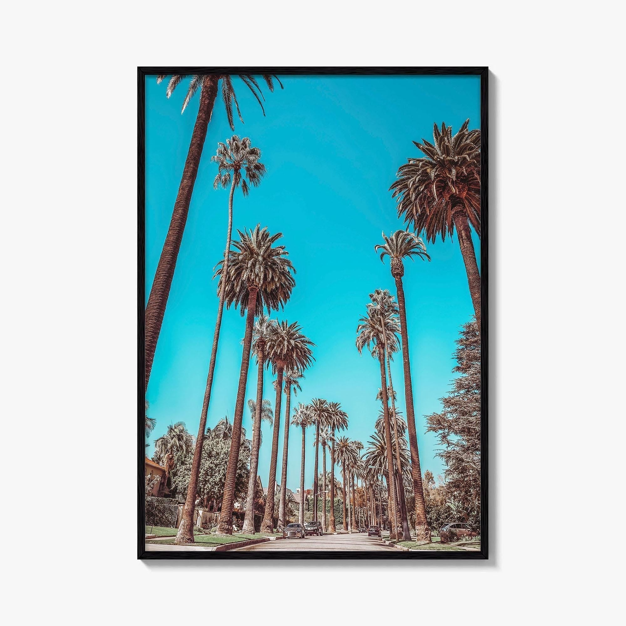 Beverly Hills Fine Art Photo Print, Los Angeles, California, Palm Trees, Photo Poster