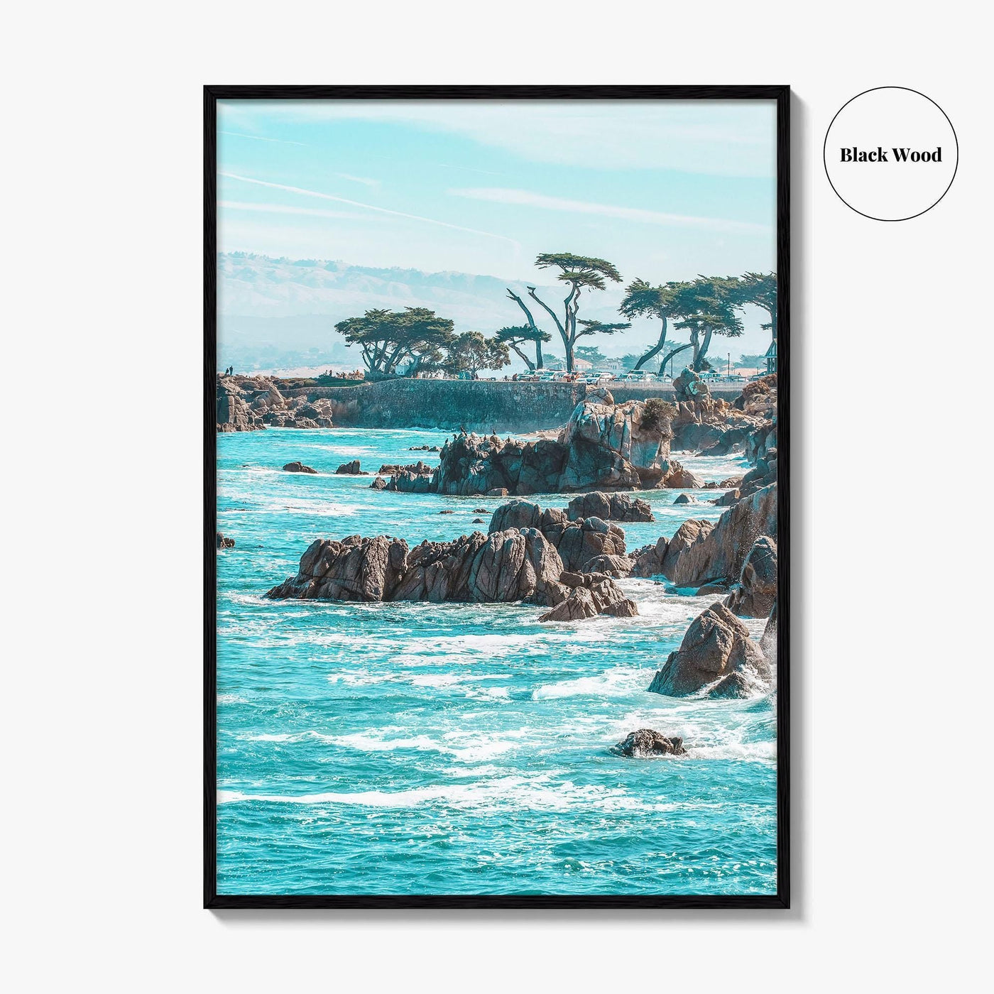 Monterey Fine Art Photo Print, Pacific Grove, California Coastline Wall Decor Poster, USA