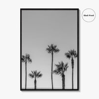 Manhattan Beach Black and White Fine Art Photo Print, Palm Trees LA California Poster