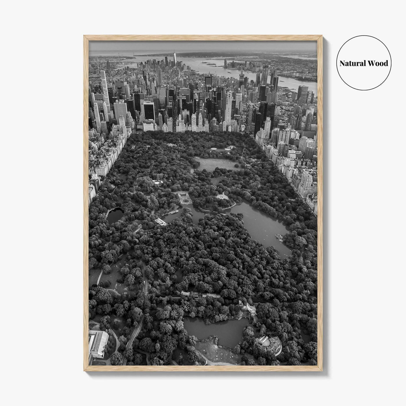 Central Park Skyline Black and White Fine Art Photo Print, New York City Poster