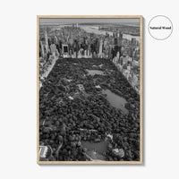 Central Park Skyline Black and White Fine Art Photo Print, New York City Poster