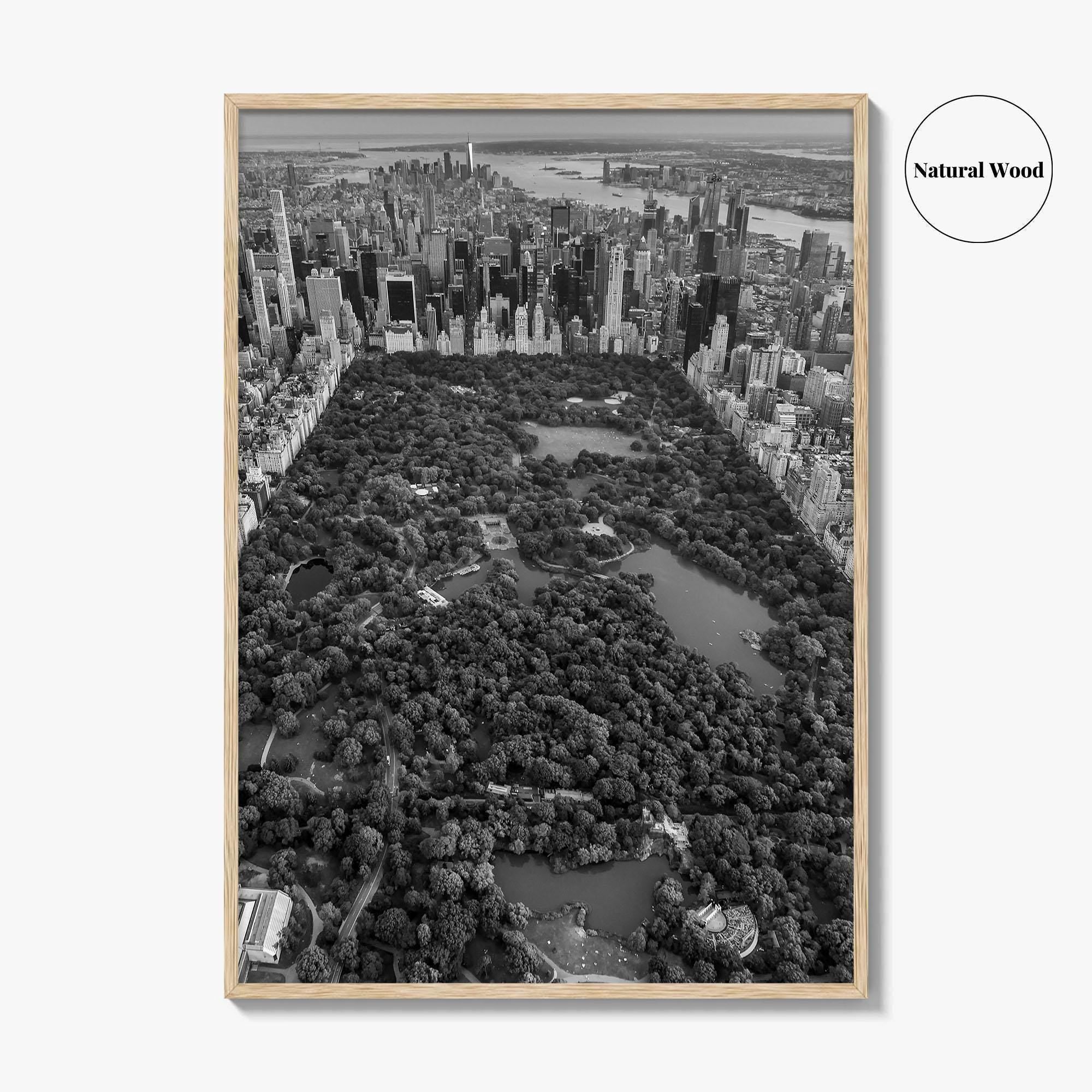 Central Park Skyline Black and White Fine Art Photo Print, New York City Poster