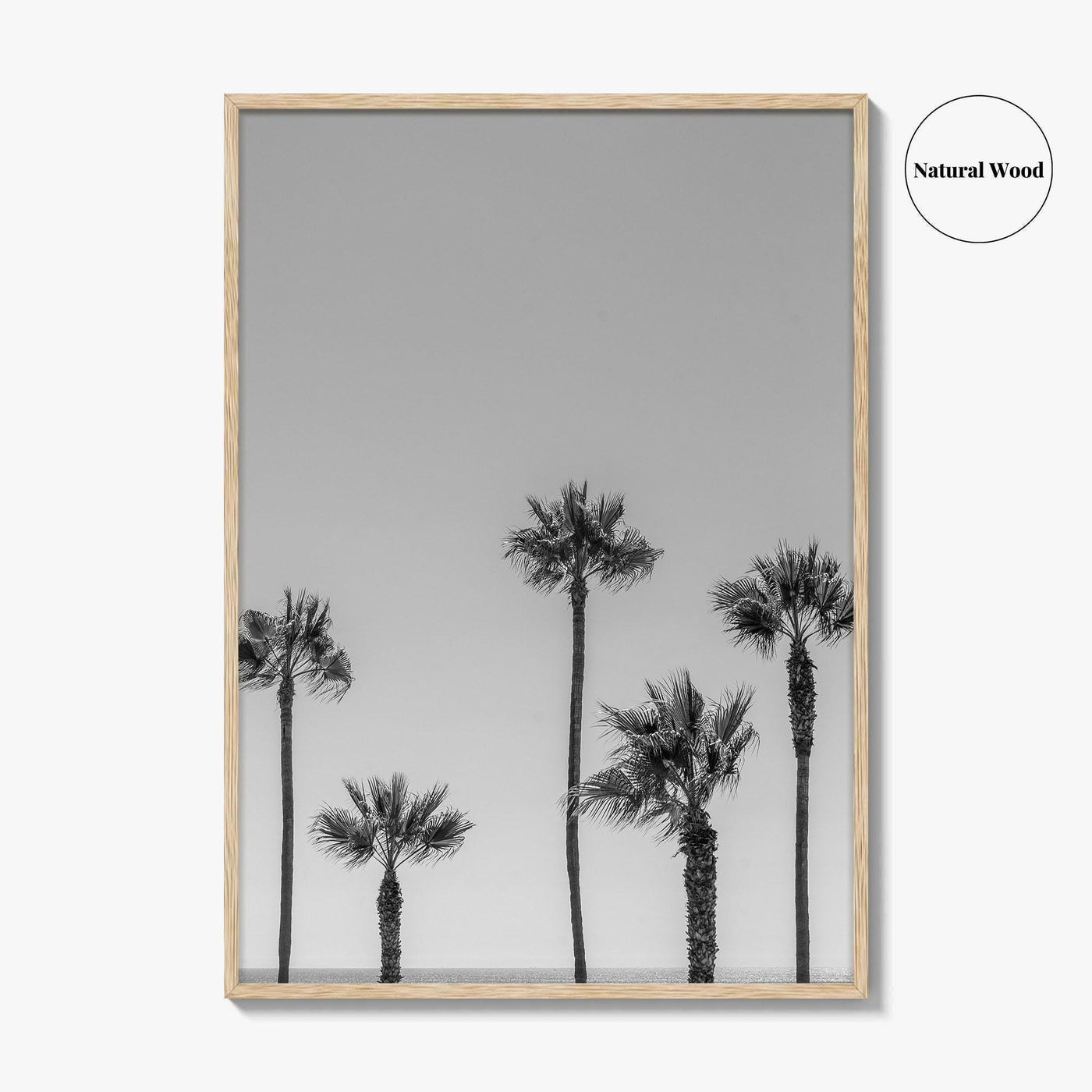 Manhattan Beach Black and White Fine Art Photo Print, Palm Trees LA California Poster