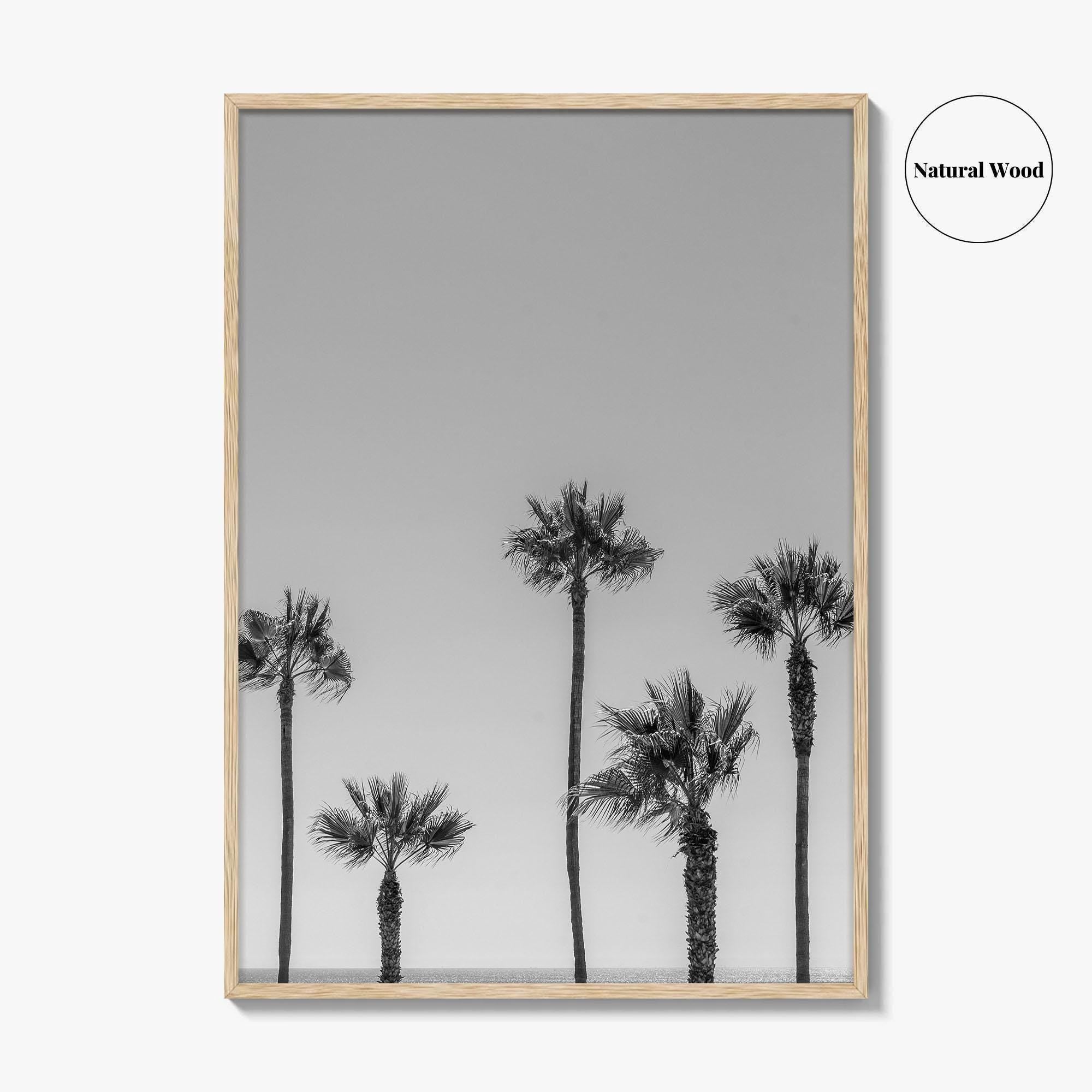 Manhattan Beach Black and White Fine Art Photo Print, Palm Trees LA California Poster