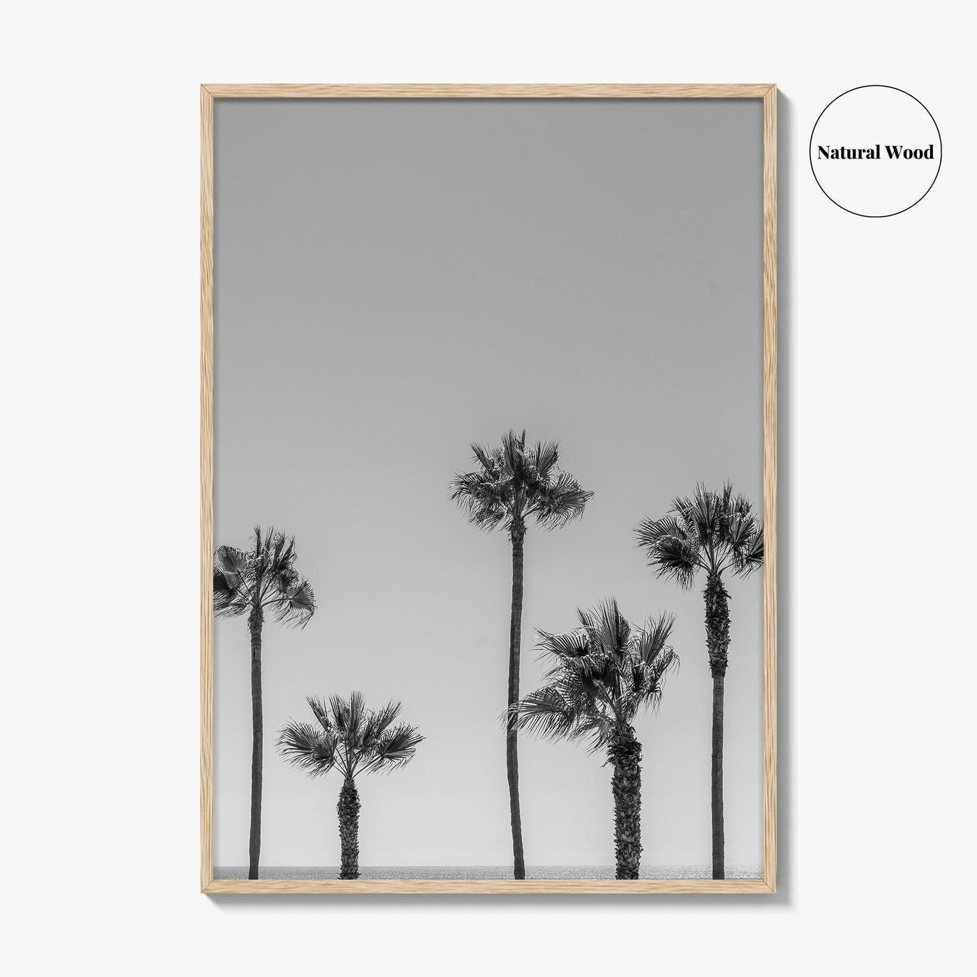 Manhattan Beach Black and White Fine Art Photo Print, Palm Trees LA California Poster