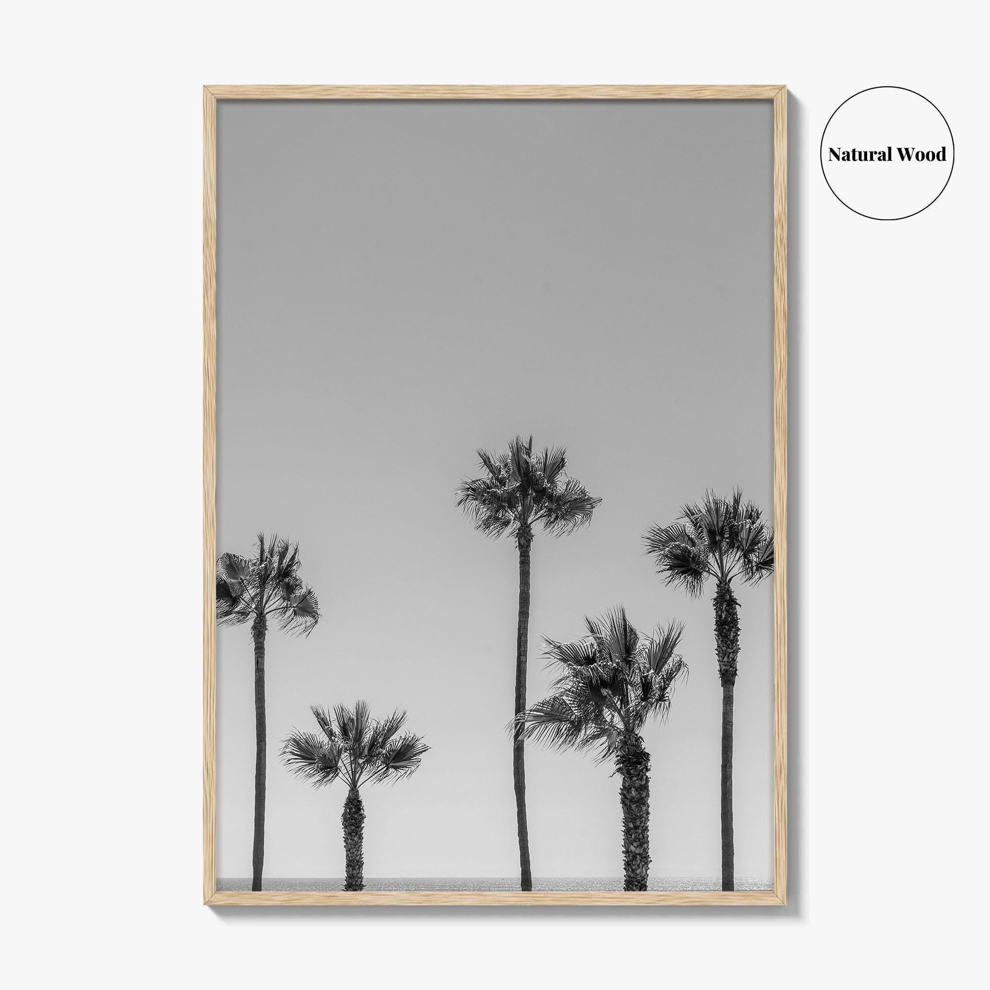 Manhattan Beach Black and White Fine Art Photo Print, Palm Trees LA California Poster