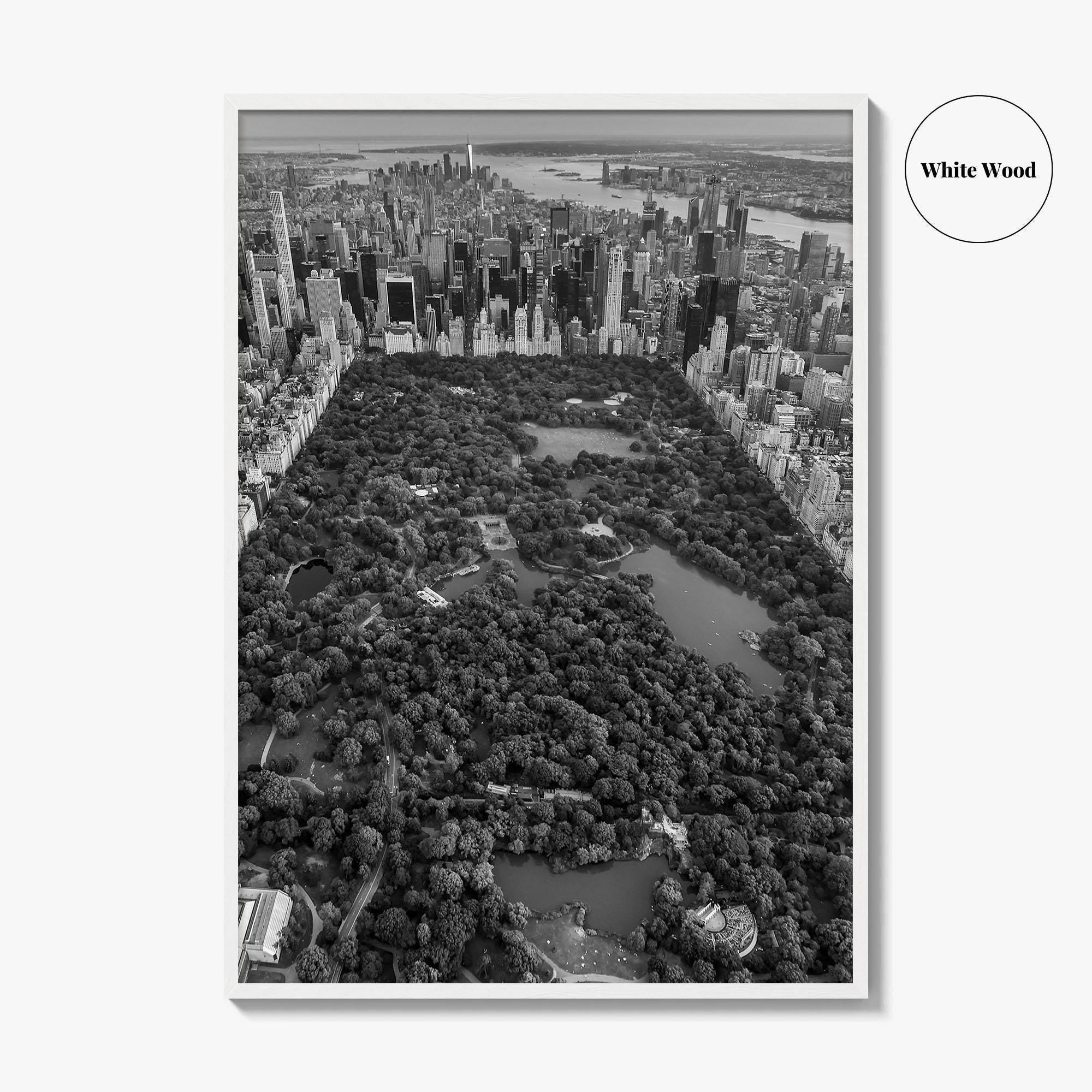 Central Park Skyline Black and White Fine Art Photo Print, New York City Poster