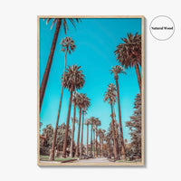 Beverly Hills Fine Art Photo Print, Los Angeles, California, Palm Trees, Photo Poster