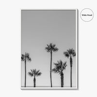Manhattan Beach Black and White Fine Art Photo Print, Palm Trees LA California Poster