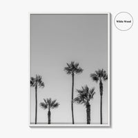 Manhattan Beach Black and White Fine Art Photo Print, Palm Trees LA California Poster