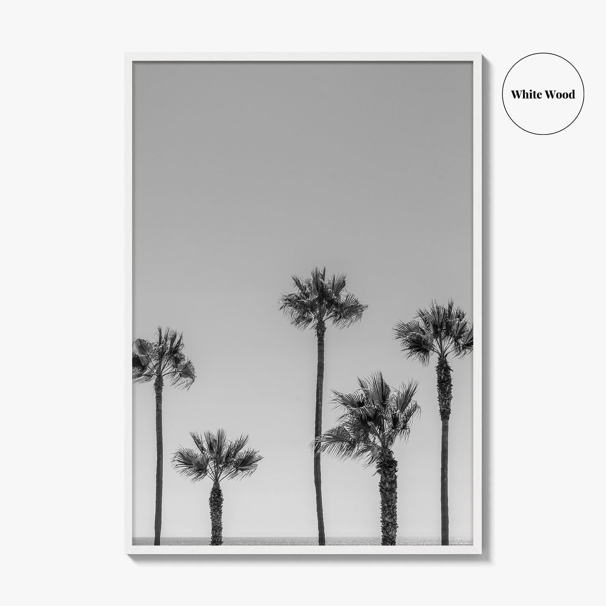 Manhattan Beach Black and White Fine Art Photo Print, Palm Trees LA California Poster