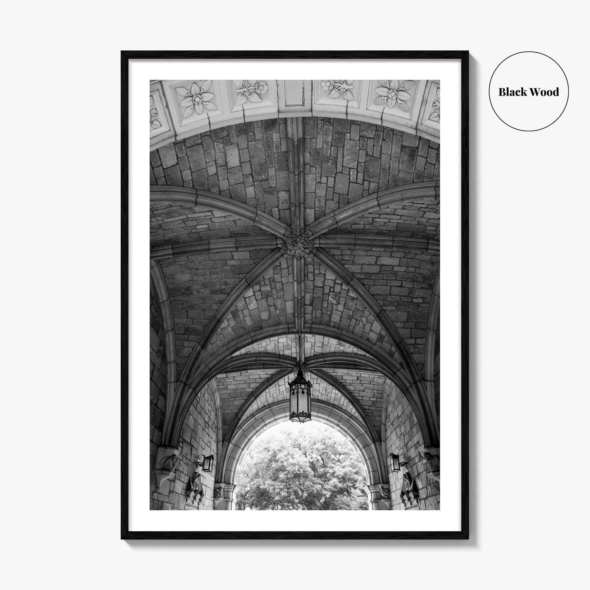 Ann Arbor Black and White Fine Art Photo Print, Law Quad, University Of Michigan