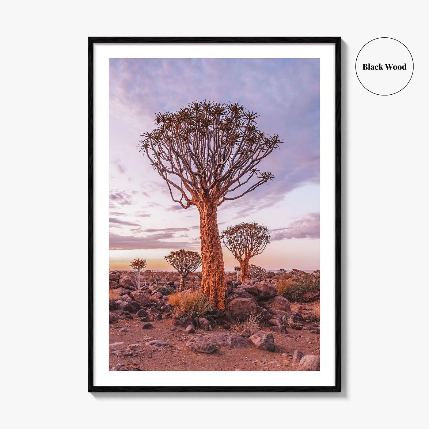 Namibia Fine Art Photo Print, Quiver Tree Forest, Keetmanshoop, Africa Wall Decor Poster