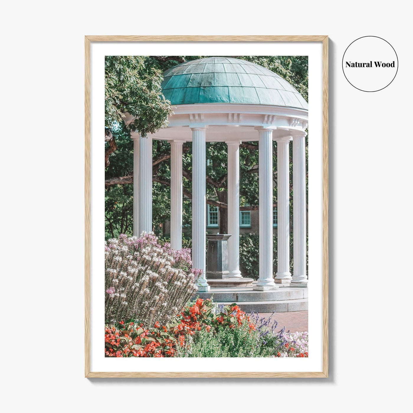 Chapel Hill Fine Art Photo Print, Old Well, UNC, North Carolina Wall Poster