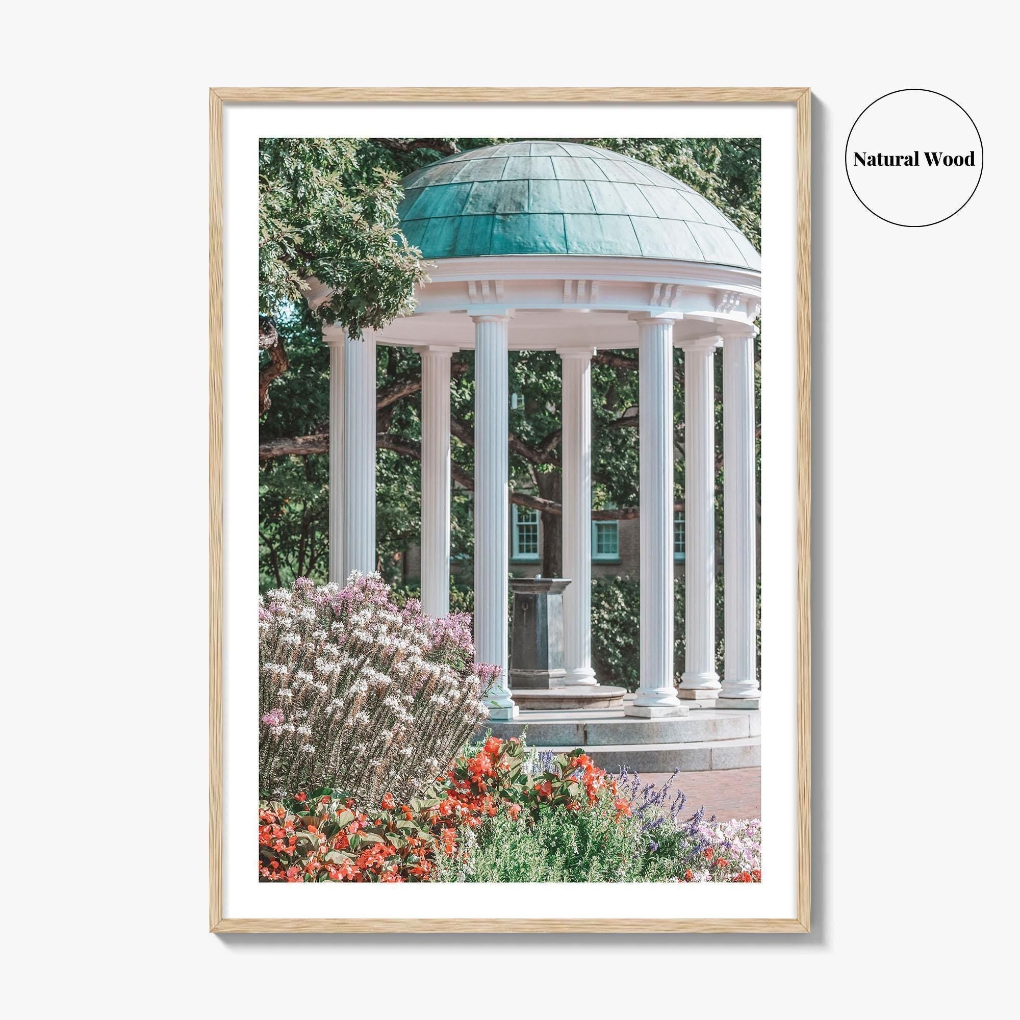 Chapel Hill Fine Art Photo Print, Old Well, UNC, North Carolina Wall Poster