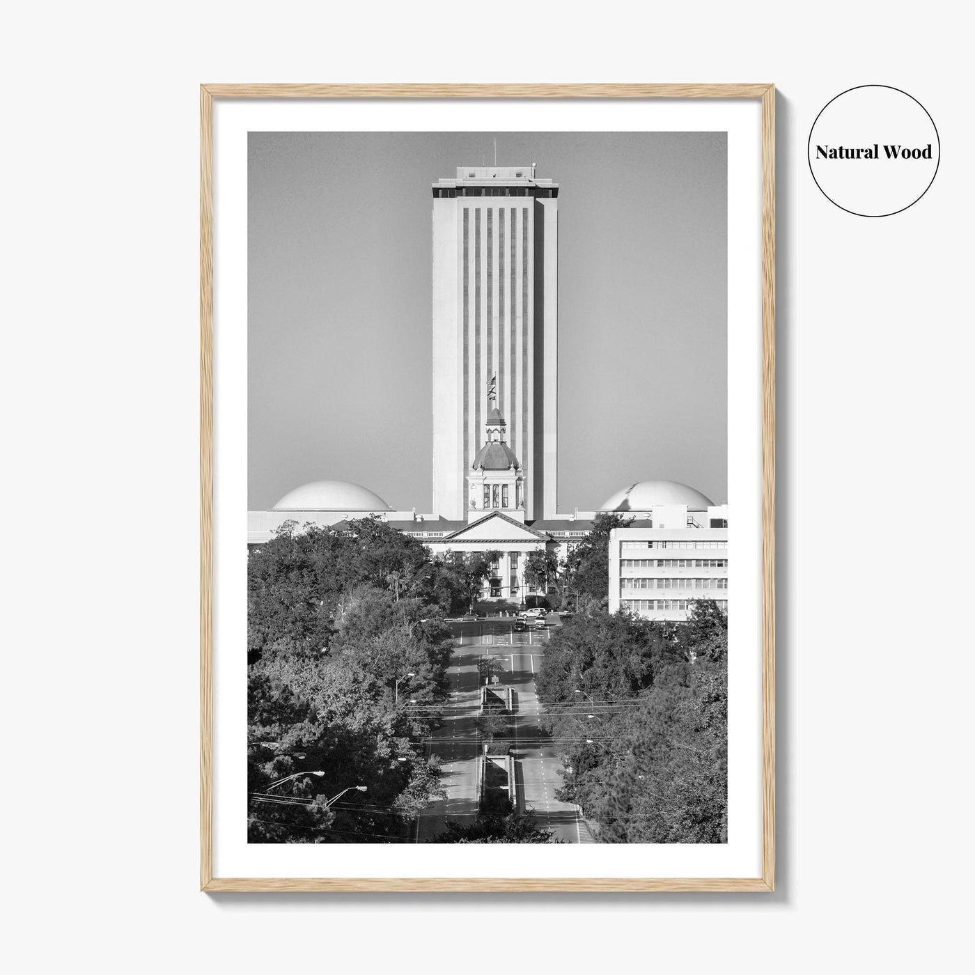 Tallahassee Black and White Fine Art Photo Print, Florida Capitol Buildings, Florida Poster
