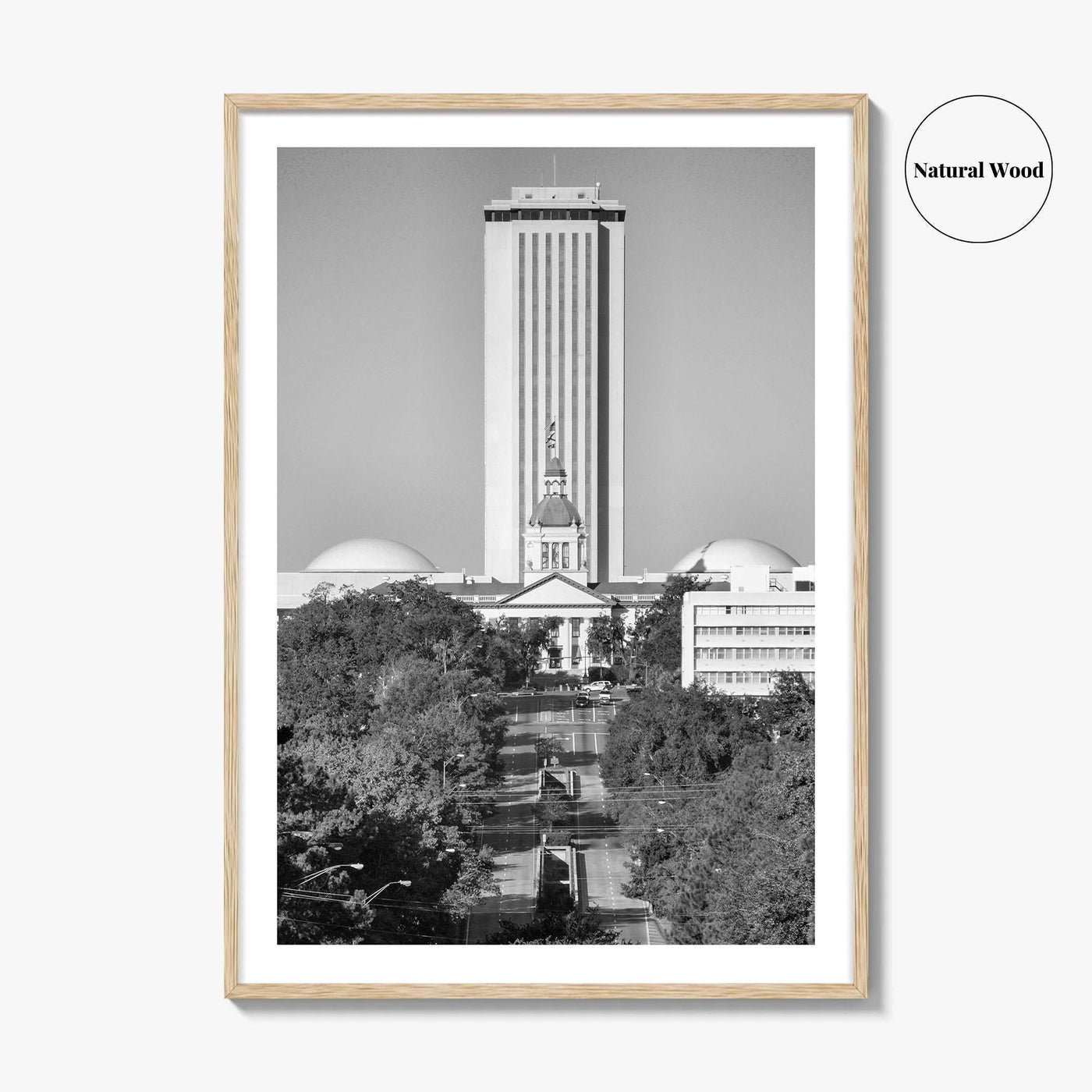 Tallahassee Black and White Fine Art Photo Print, Florida Capitol Buildings, Florida Poster