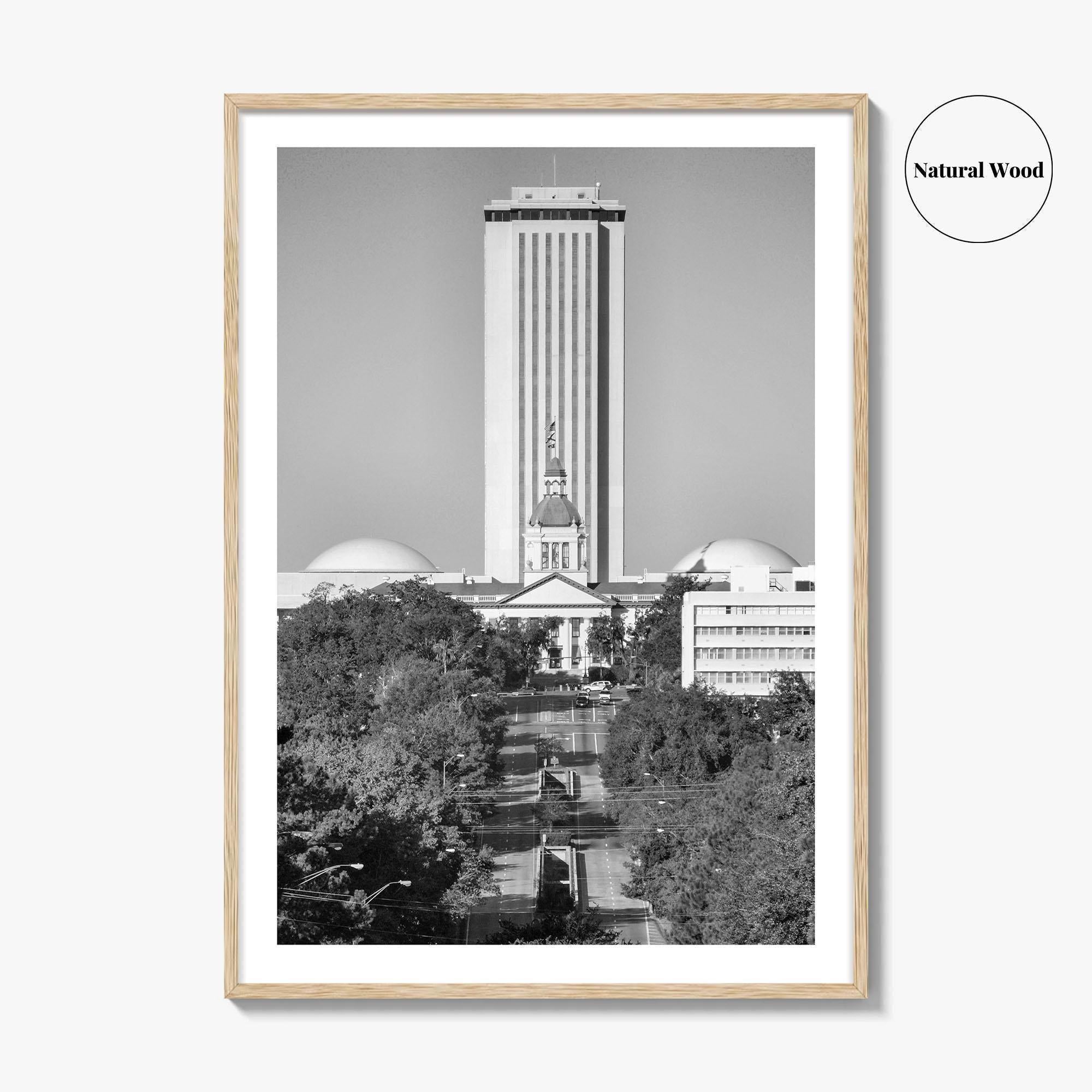 Tallahassee Black and White Fine Art Photo Print, Florida Capitol Buildings, Florida Poster