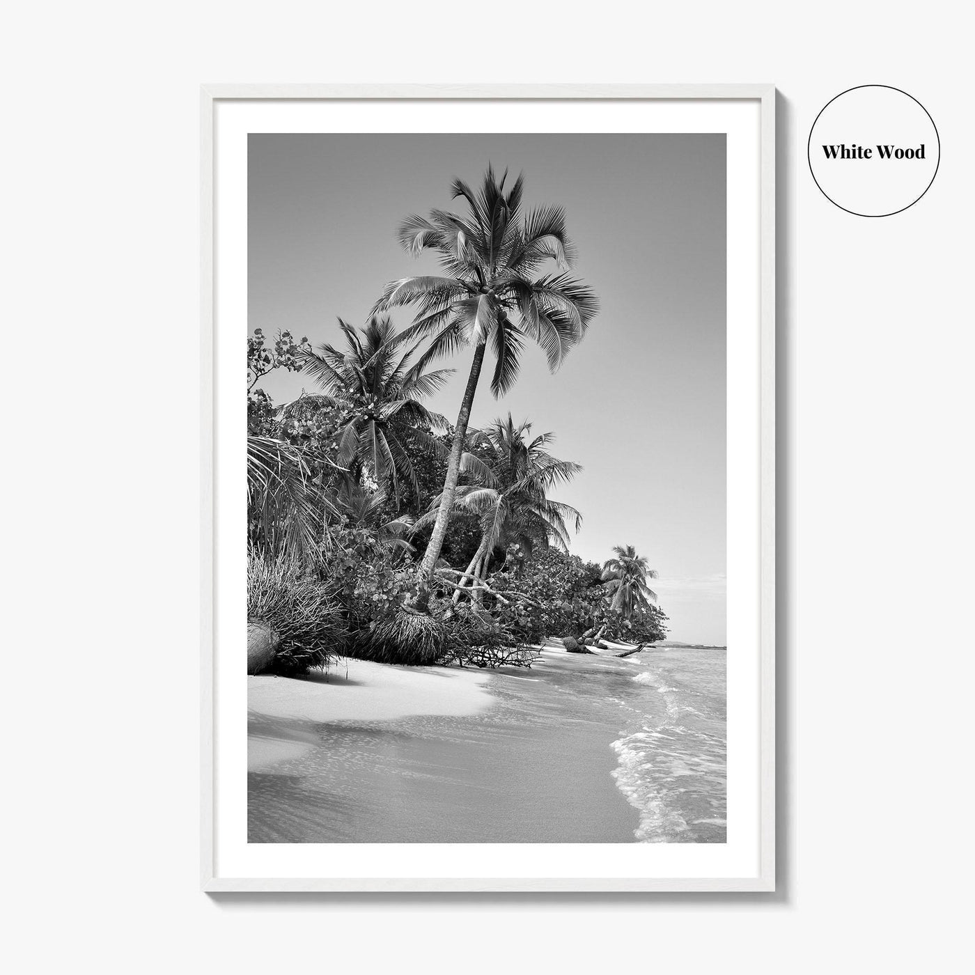 Panama Black and White Fine Art Photo Print, Central America Poster